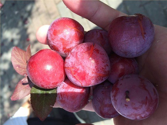 汇源塑胶-比赛活动图3