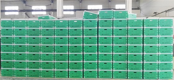 中空板周转箱3 (2)