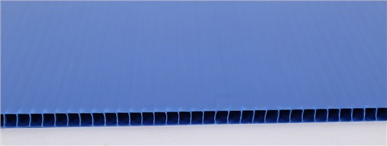 塑料中空板价格-产品图