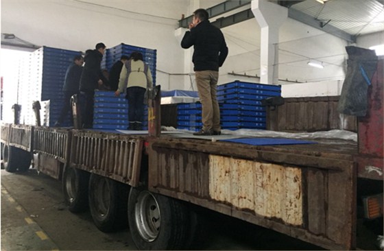 中空板厂家-汇源塑胶出货