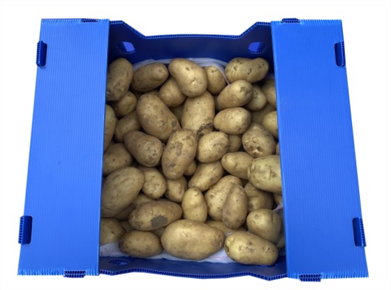 QQ截图20201202163121