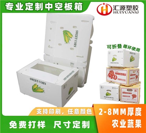 蔬菜水果包装箱