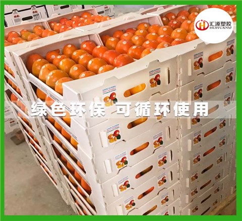 蔬菜水果包装箱