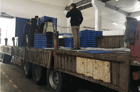 中空板厂家-汇源塑胶出货