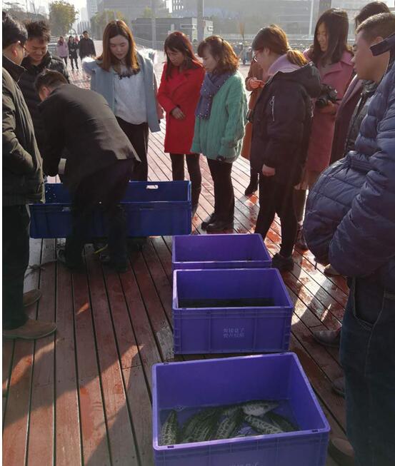 中空板厂家-汇源塑胶5