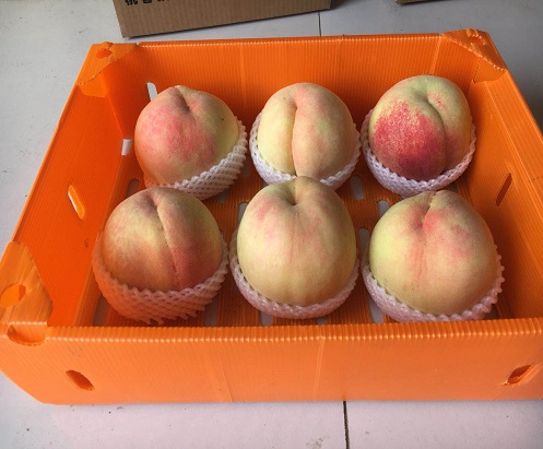 浙江汽车配件包装箱厂家哪家靠谱?-汇源塑胶