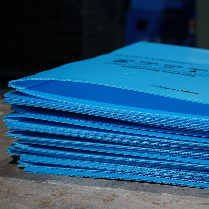 浅蓝色冷链中空板箱